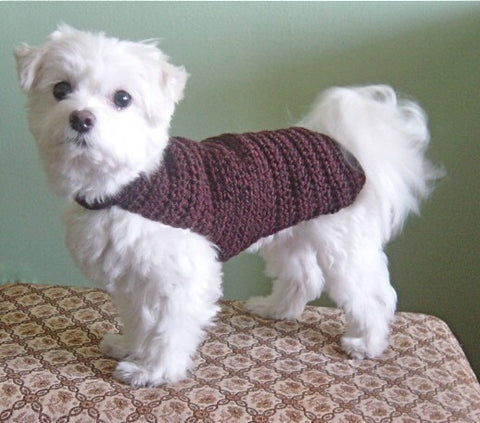 The Cary Dog Sweater Hand Crochet