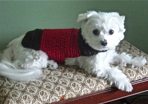 Brown and Red Hand Crochet Dog Sweater